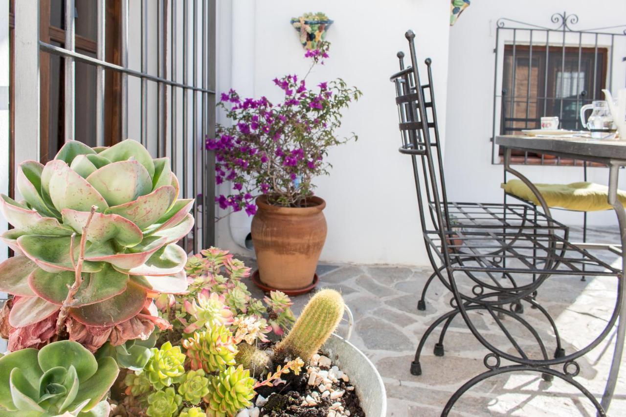 Villa Aurora Nijar Parque Natural Cabo Gata Zewnętrze zdjęcie