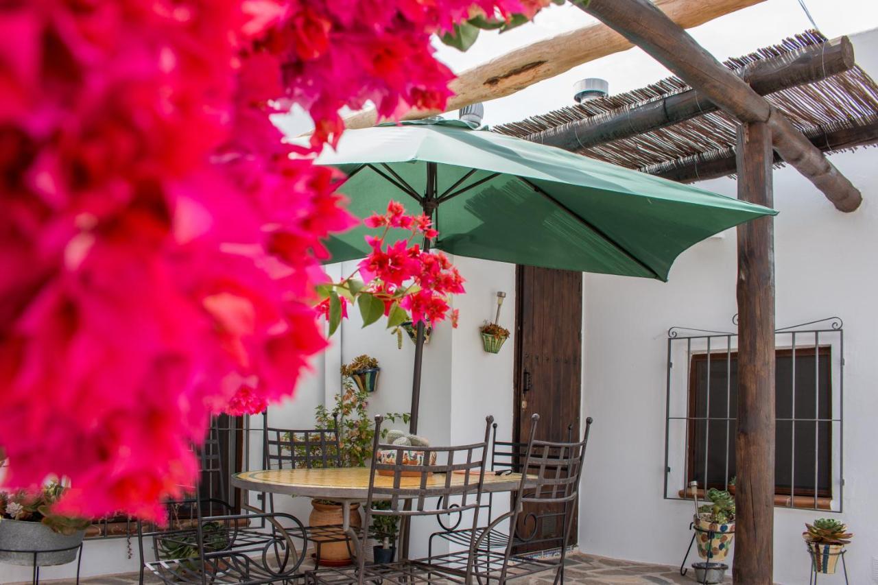 Villa Aurora Nijar Parque Natural Cabo Gata Zewnętrze zdjęcie